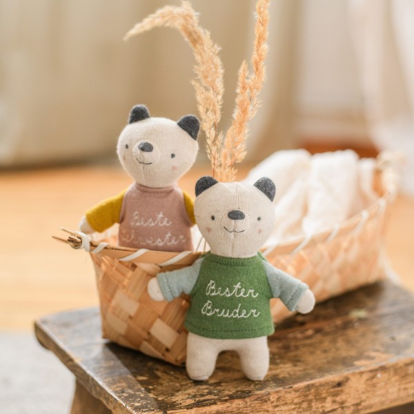 Bär "bester Bruder" mit T-shirt in grün/eisblau