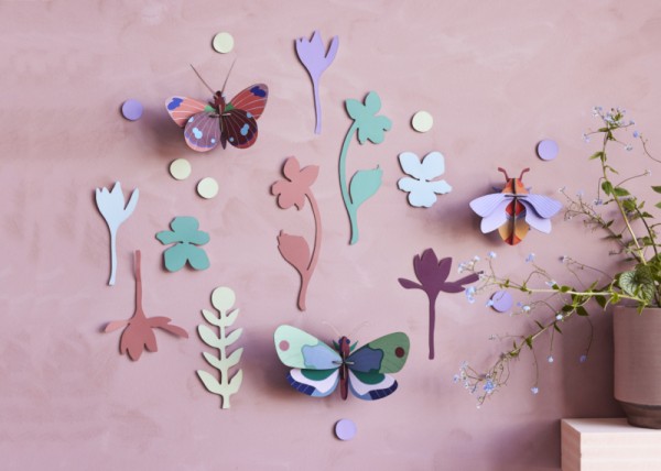 Small wall of curiosities - Winged Medley