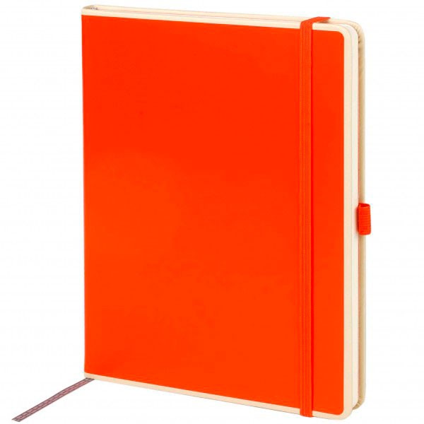 Notizbuch Le Professionnel large orange