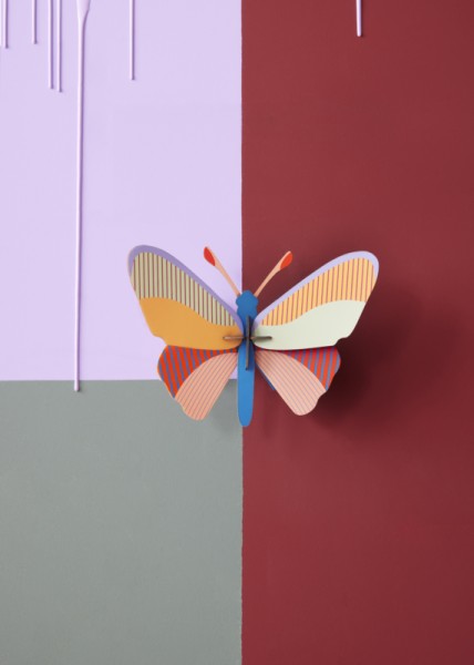 Medium Insects - Cleo Butterfly