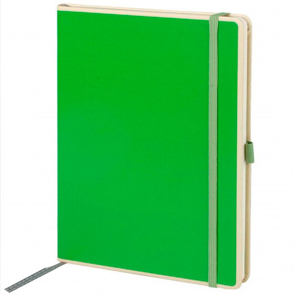 Notizbuch Le Professionnel large lime