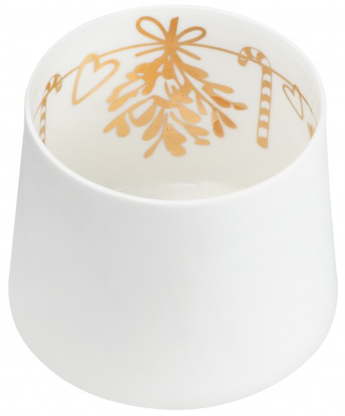 Schattenspiel Mistelzweig