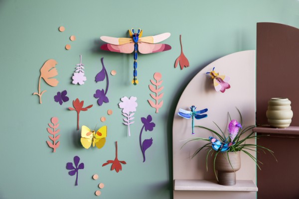 Big wall of curiosities - insect connoisseur