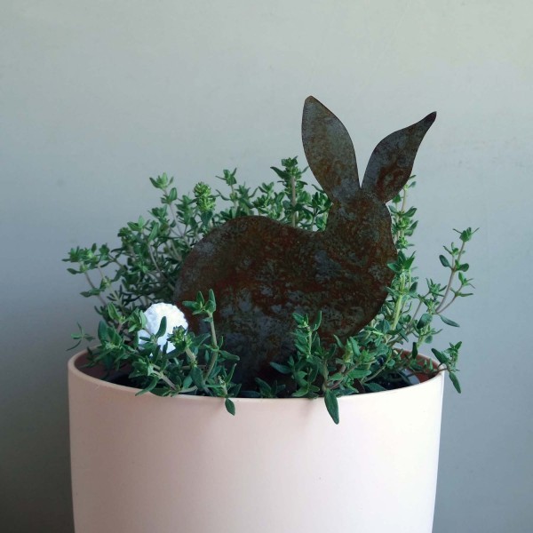 Hasenstecker, Krümel